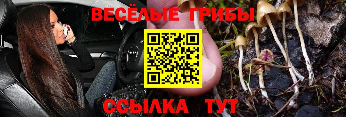 Псилоцибиновые грибы Magic Shrooms  Вход с VPN  Зима 